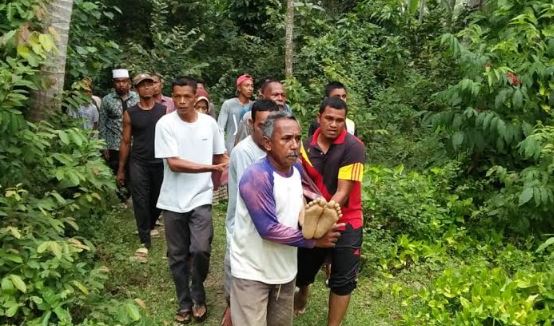 Pekebun Ditemukan Tewas di  Atas Pohon  di  Aceh Utara