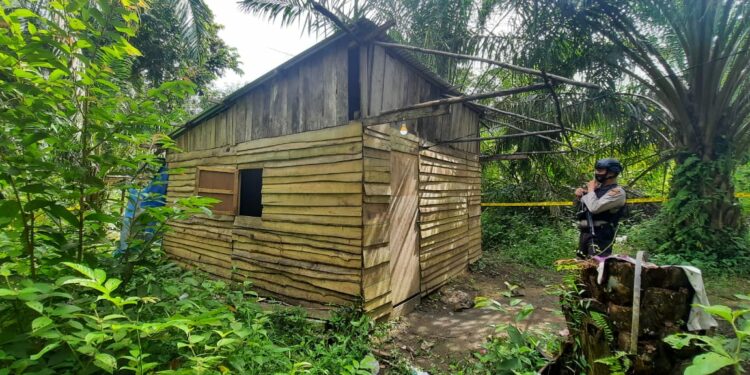 Suami Tak di Rumah, Ibu Muda Diperkosa di Aceh Timur, Anaknya Dibacok