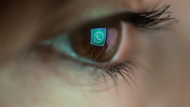 Waspada Tanda-tanda Akun WhatsApp Lagi Dimata-matai Stalker
